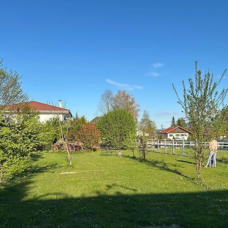 Black Horse Family Apartment - Barrierearm - Pfotenglueck - Familienzeit By Loewenherz Homes Stephanskirchen Buitenkant foto